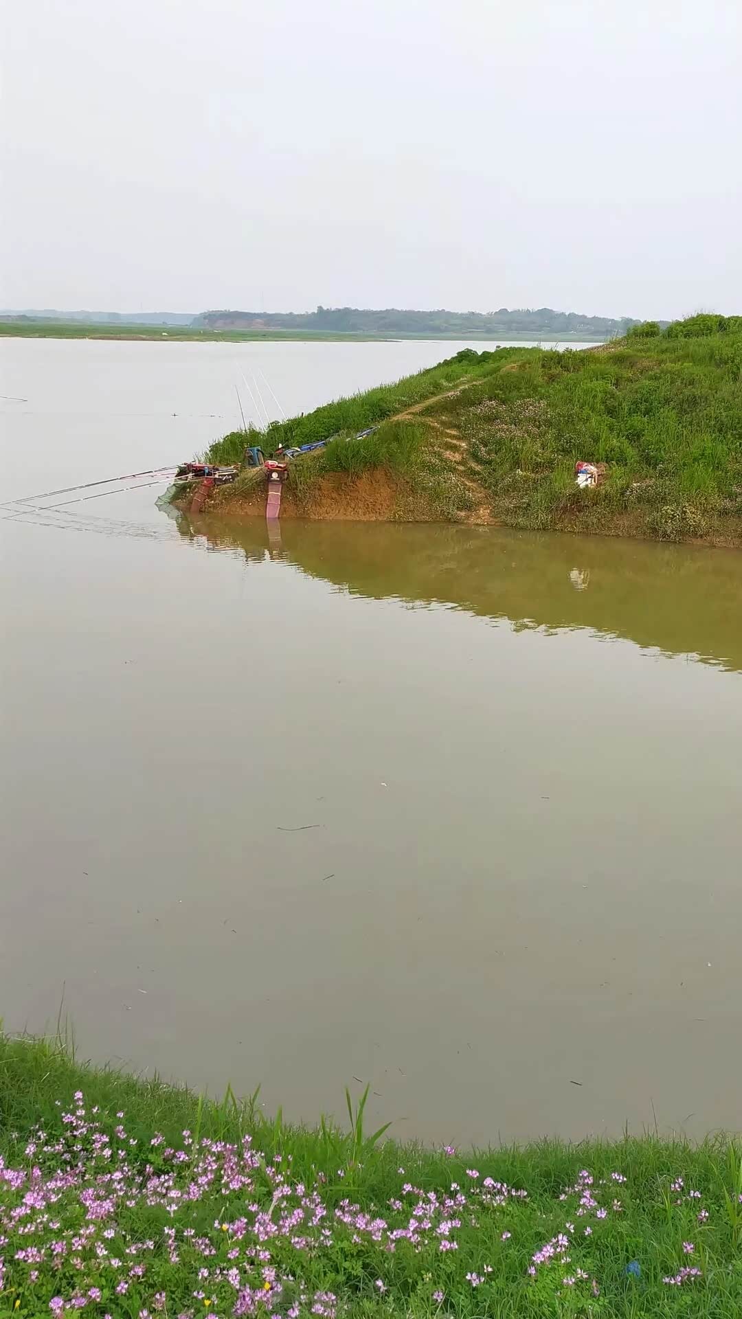 运河流水钓鱼技巧(运河支流钓鱼在哪个位置最好)