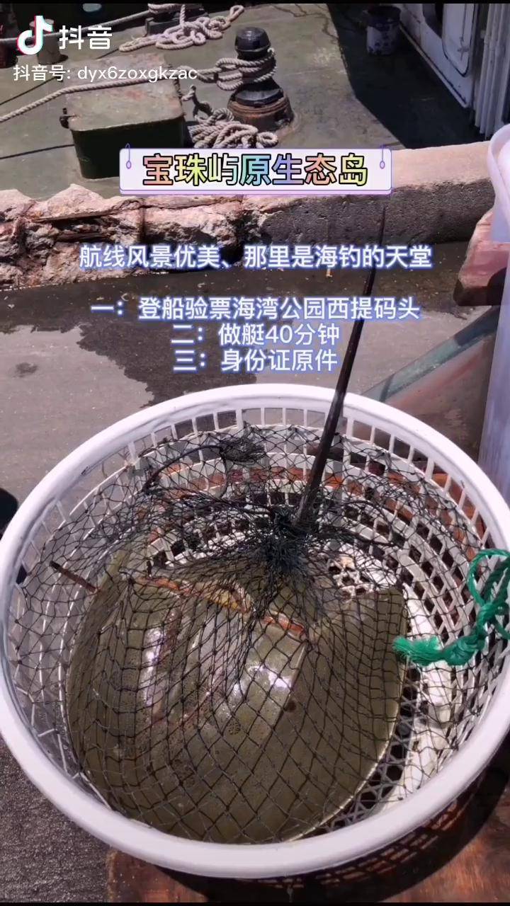海钓证怎么办(海钓证怎么办理) 海钓证怎么办(海钓证怎么办理)