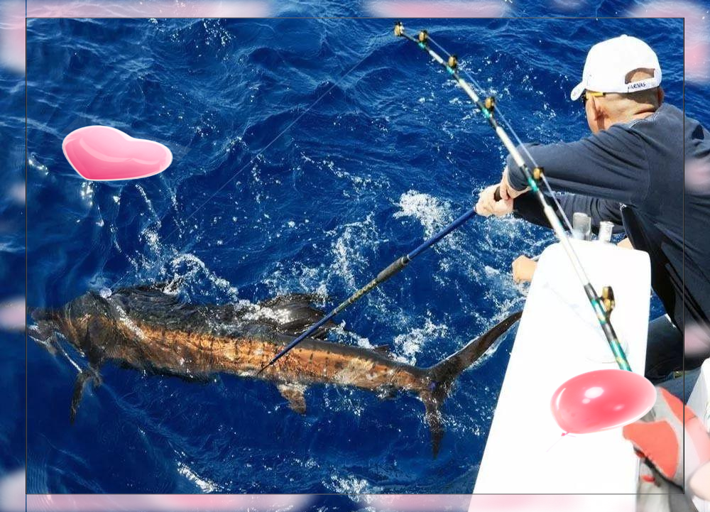 海钓用钓(海钓用什么钓法)