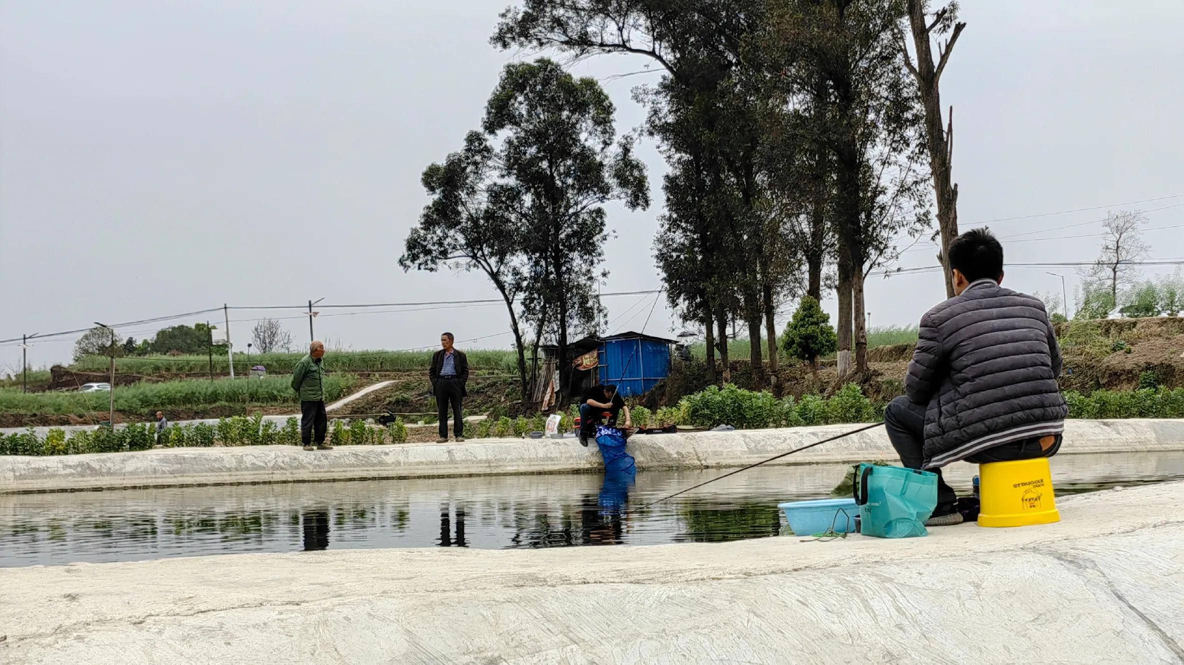 早晨鱼塘钓鱼技巧(早晨鱼塘鱼浮头是什么情况?) 早晨鱼塘钓鱼技巧(早晨鱼塘鱼浮头是什么情况?)