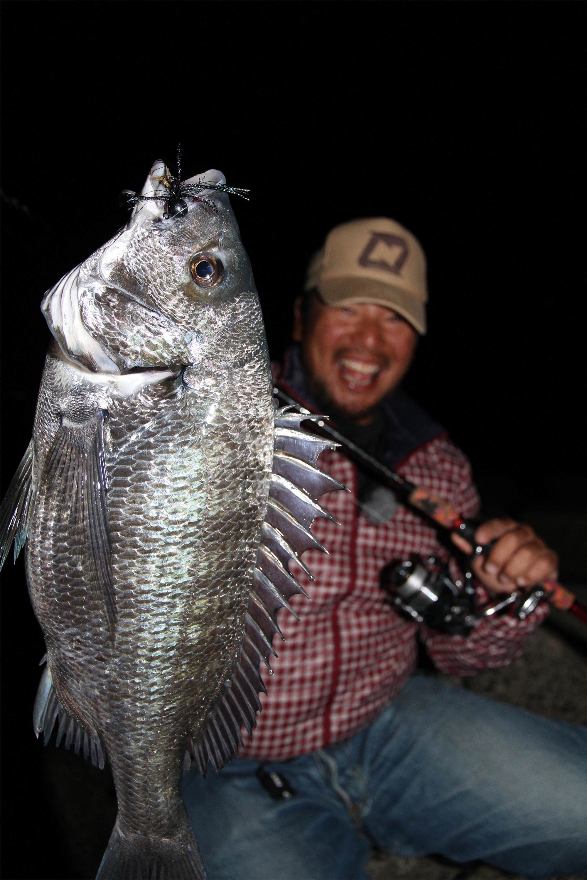 日本海钓黑雕(海钓黑鲷及钓法视频) 日本海钓黑雕(海钓黑鲷及钓法视频)