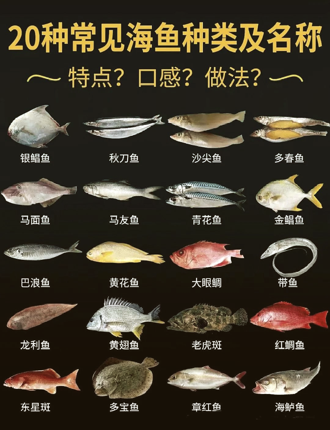 海钓各种鱼分布水层(海钓的鱼一般在什么位置) 海钓各种鱼分布水层(海钓的鱼一般在什么位置)