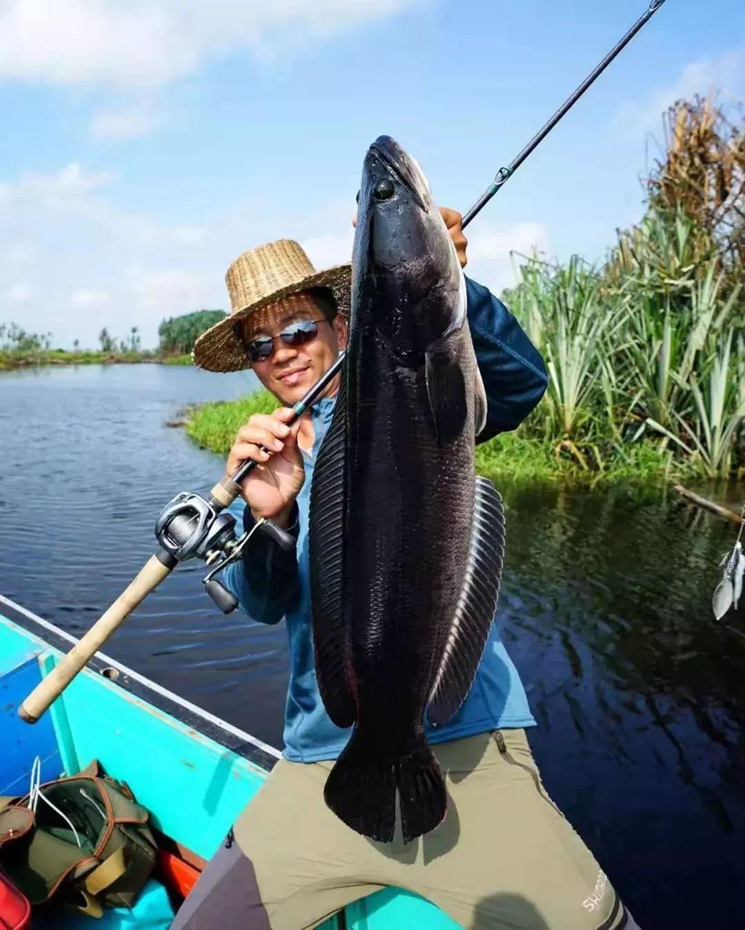 关于路亚中国路亚中国杂志的信息