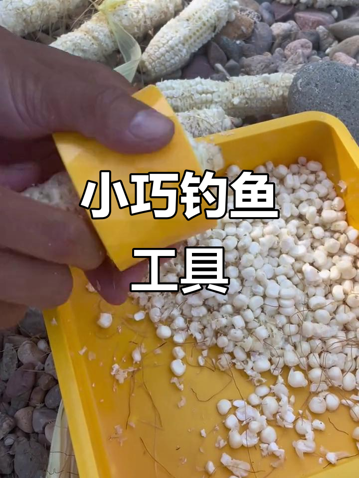 玉米粒钓草鱼技巧(玉米钓草鱼制作方法)