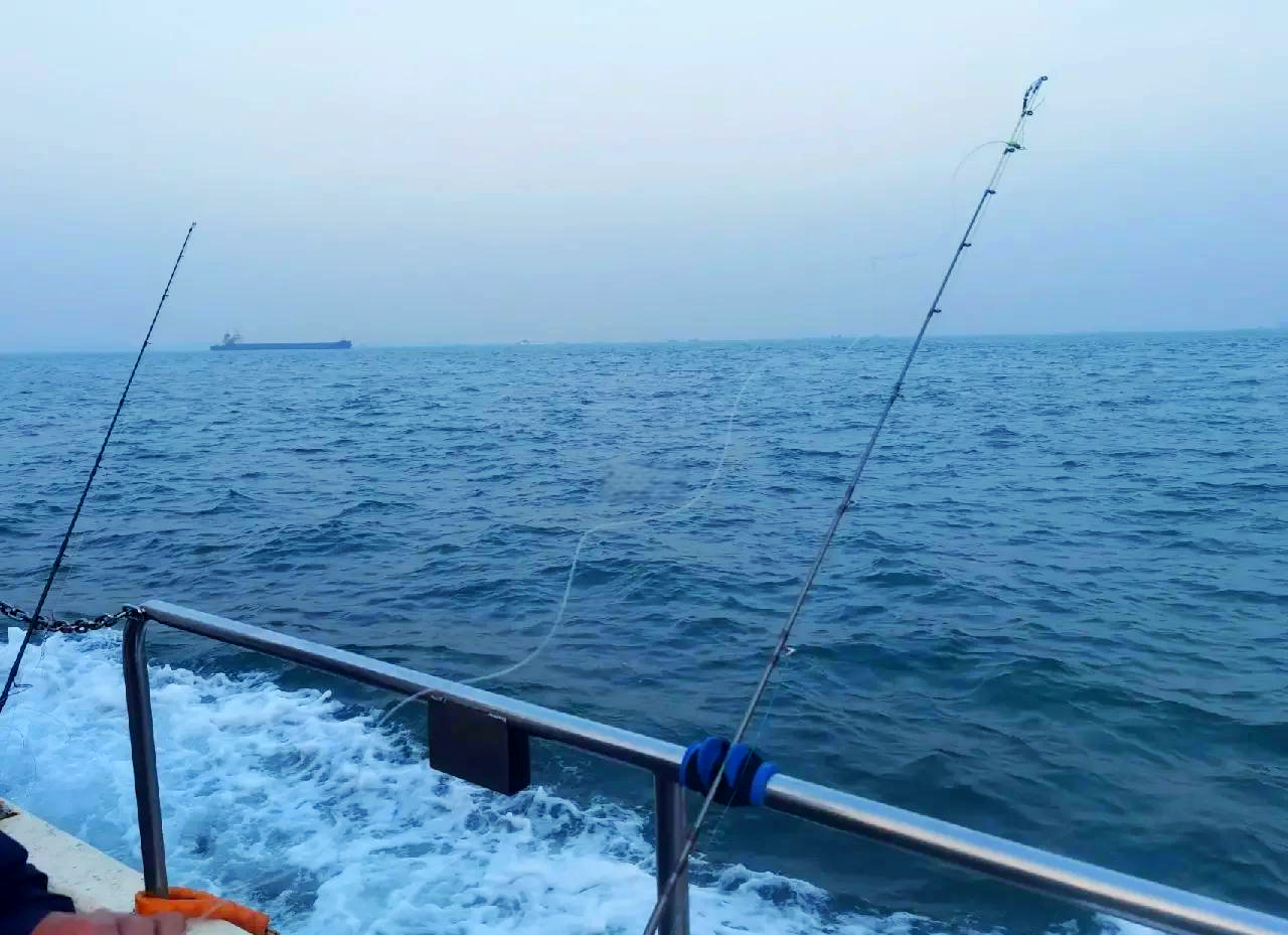 青岛海钓需要什么(青岛海钓用什么鱼食)