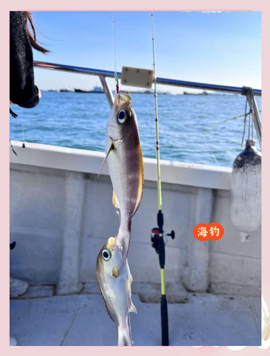 平潭最好的海钓方法(平潭海边哪里可以钓鱼)