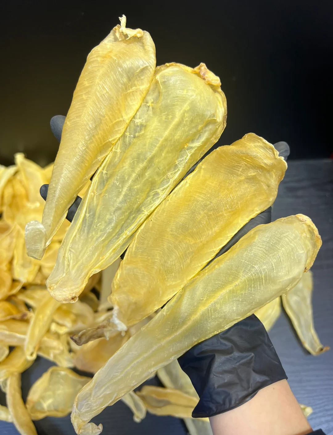 鱼鳔打鱼找鱼技巧(鱼鳔打鱼找鱼技巧图解) 鱼鳔打鱼找鱼技巧(鱼鳔打鱼找鱼技巧图解)