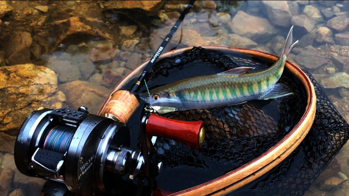 路亚游钓柬埔寨的简单介绍