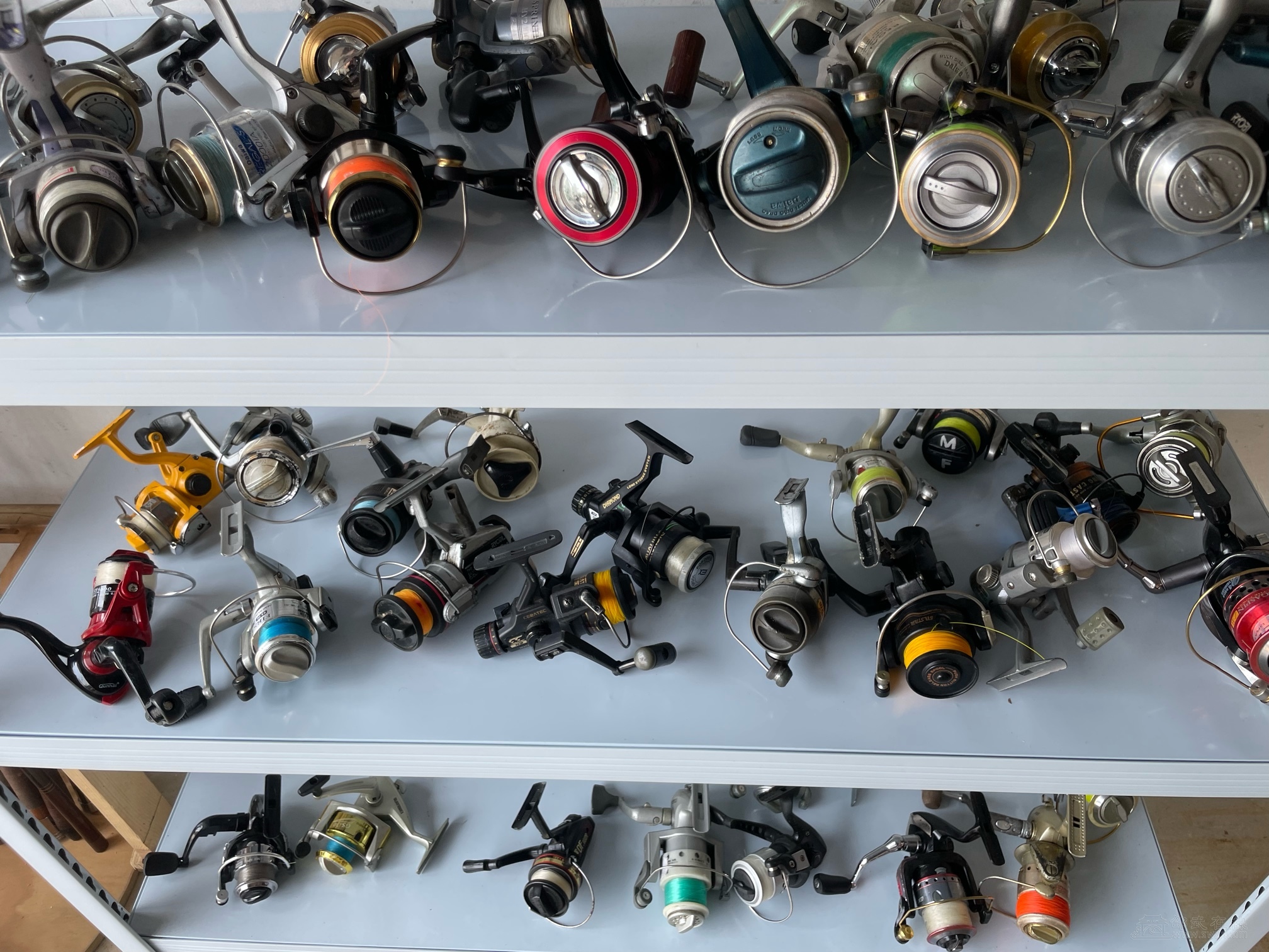 闲置渔具(渔具店收二手渔具吗)