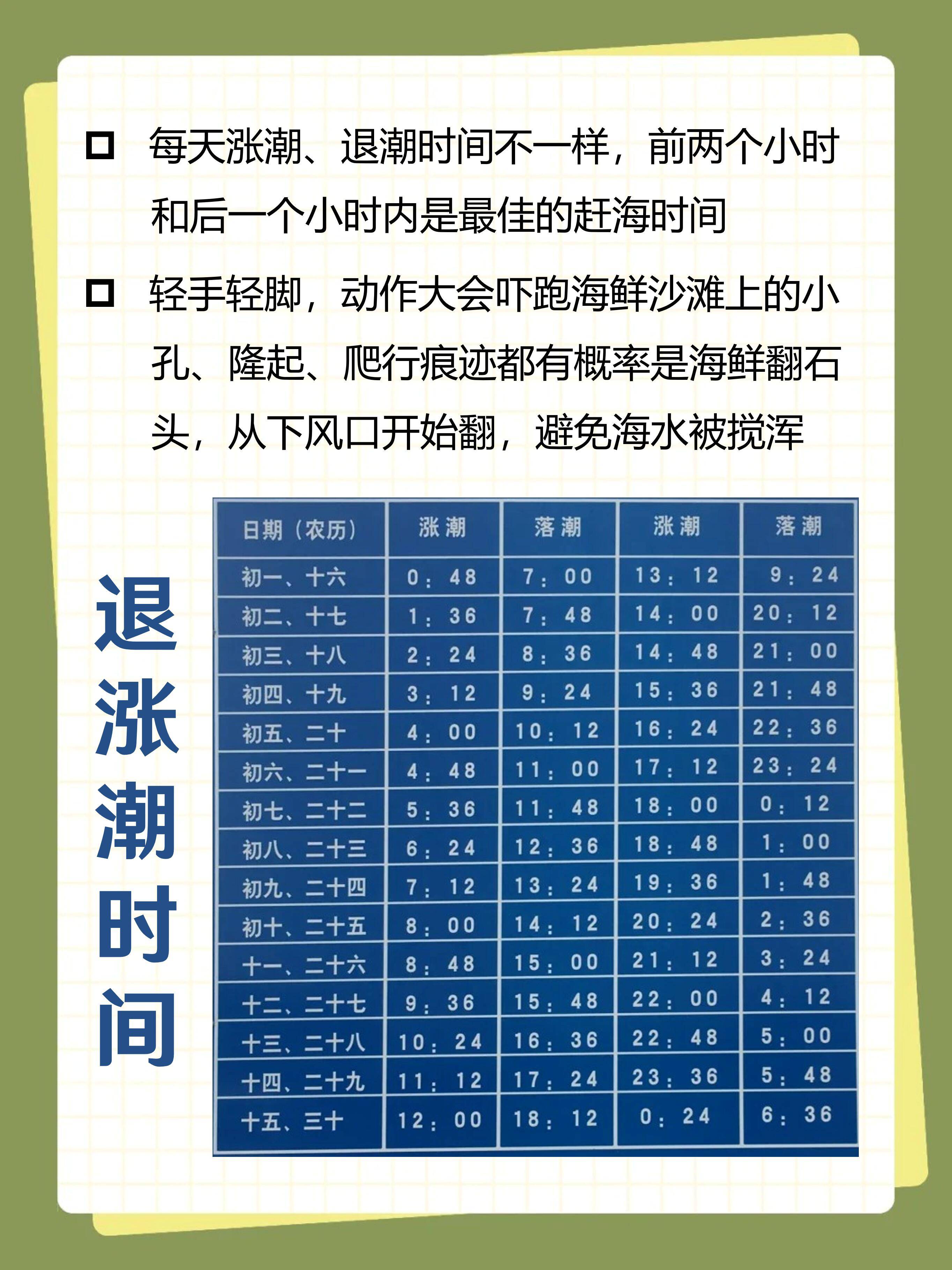 什么时间去海钓(什么时候海钓比较好)