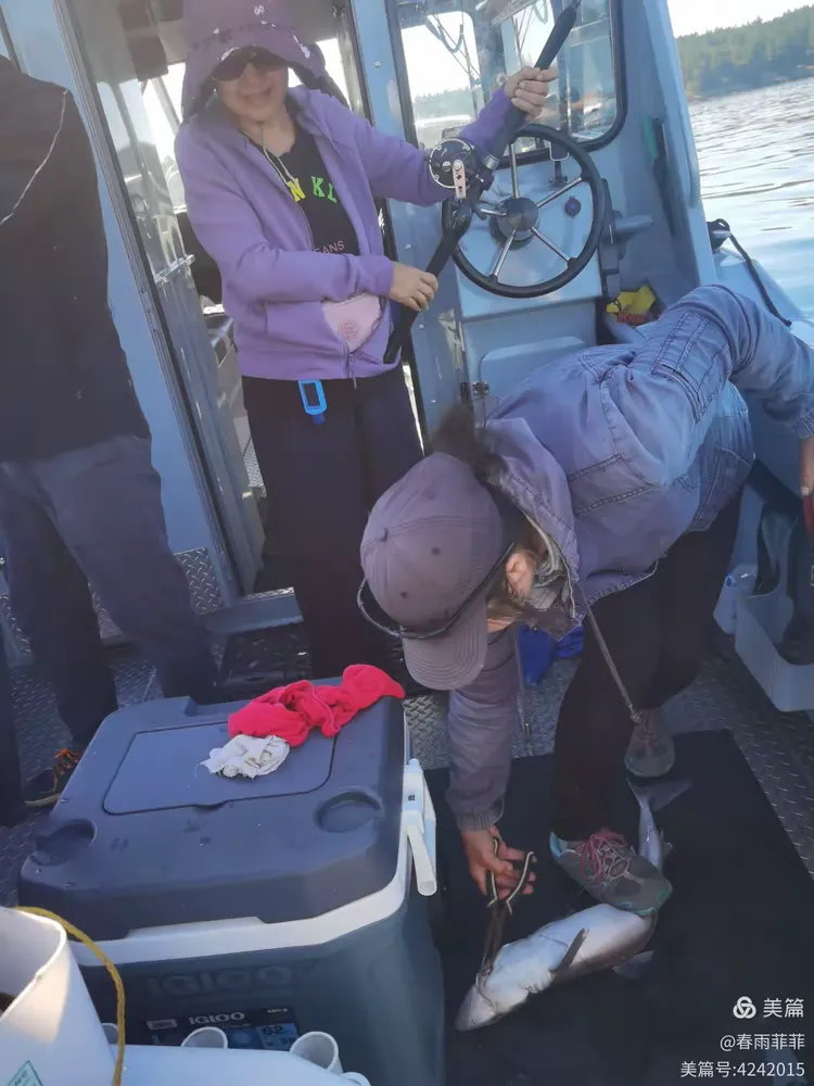 温哥华海钓怎么参加(海钓公认十款最好鱼饵)