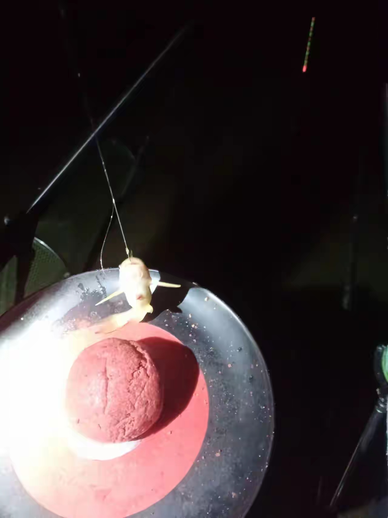 春季夜晚钓鱼的饵料(春季晚上钓鱼用什么饵料) 春季夜晚钓鱼的饵料(春季晚上钓鱼用什么饵料)