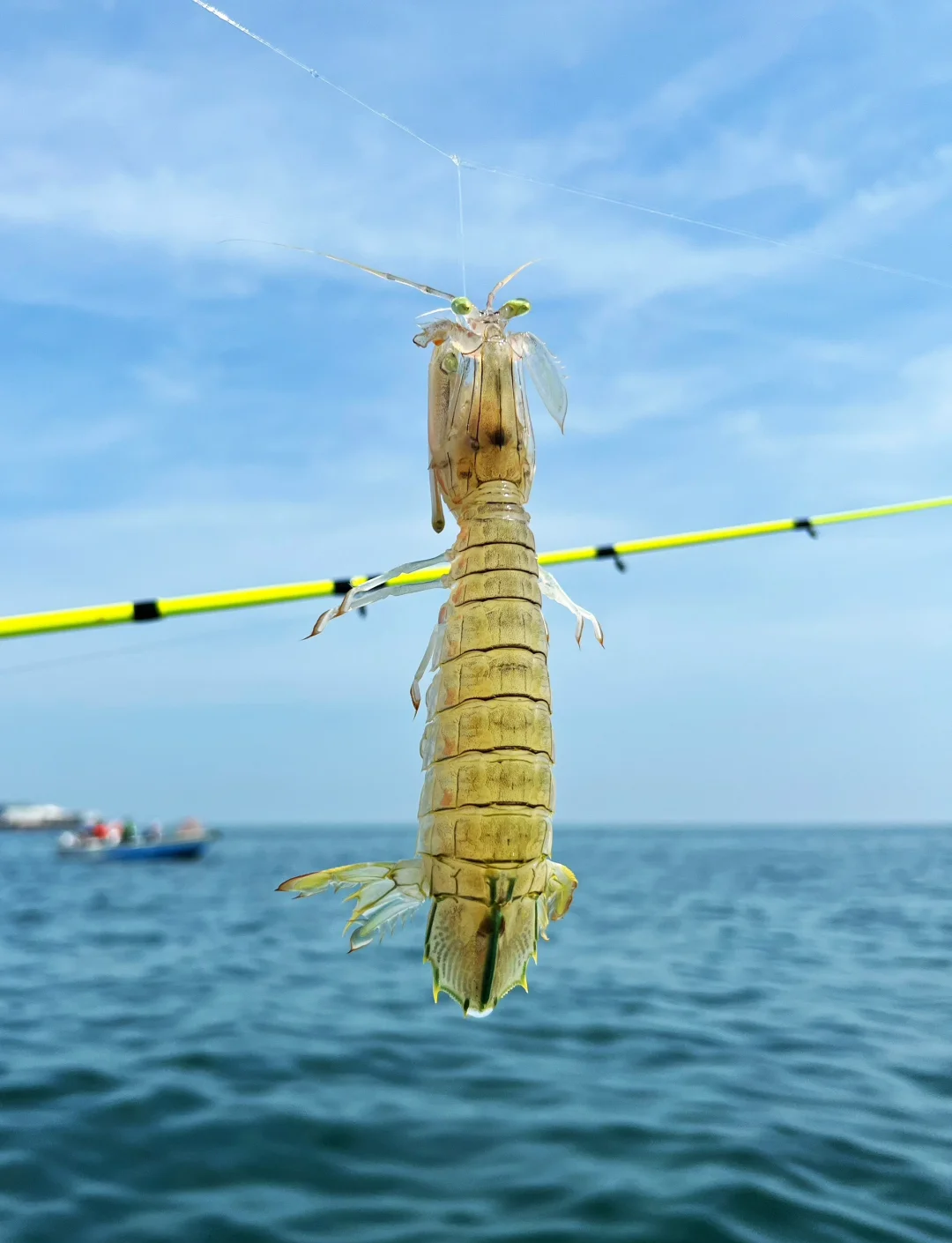 海阳哪里可以海钓(山东海阳钓鱼的地方有哪些) 海阳哪里可以海钓(山东海阳钓鱼的地方有哪些)