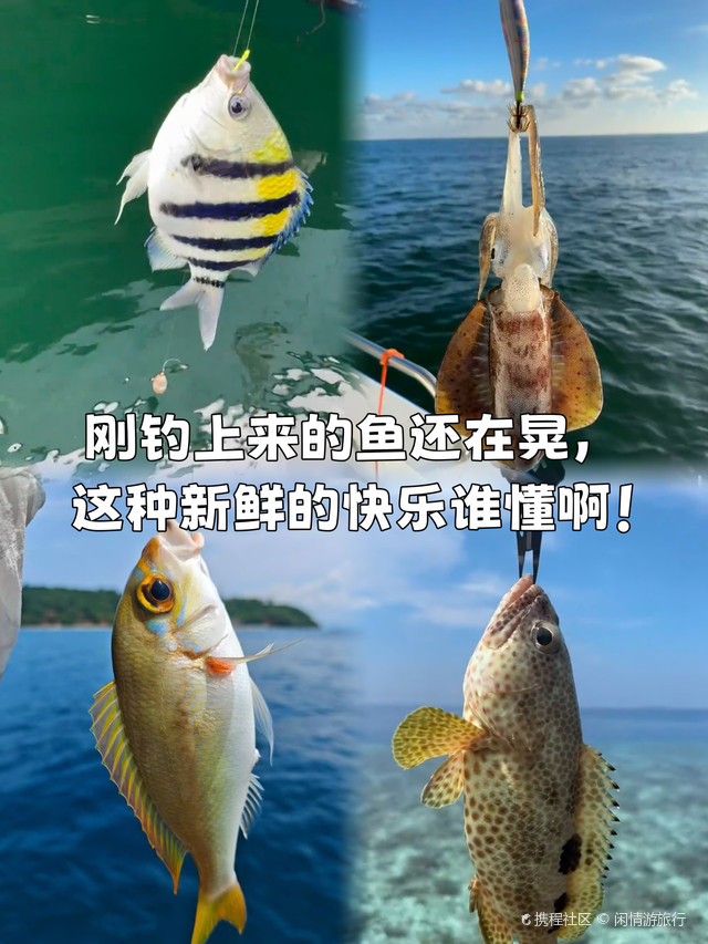怎么玩海钓(海钓怎么钓到鱼)