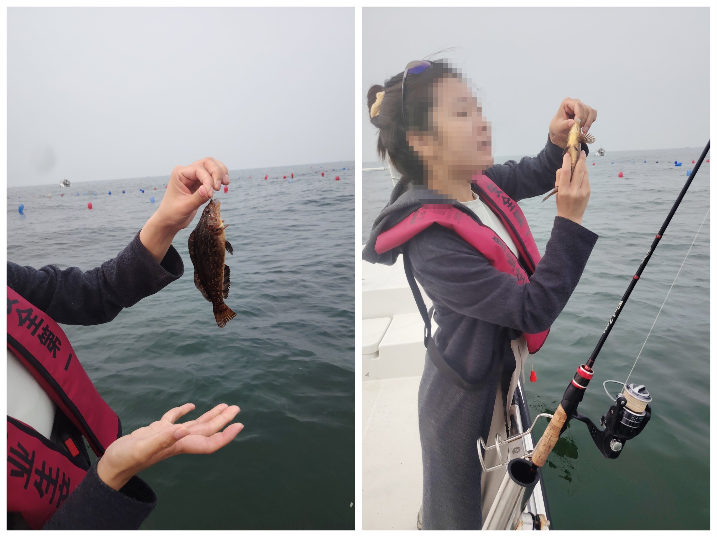 码头海钓技术(码头海钓用什么钓组)