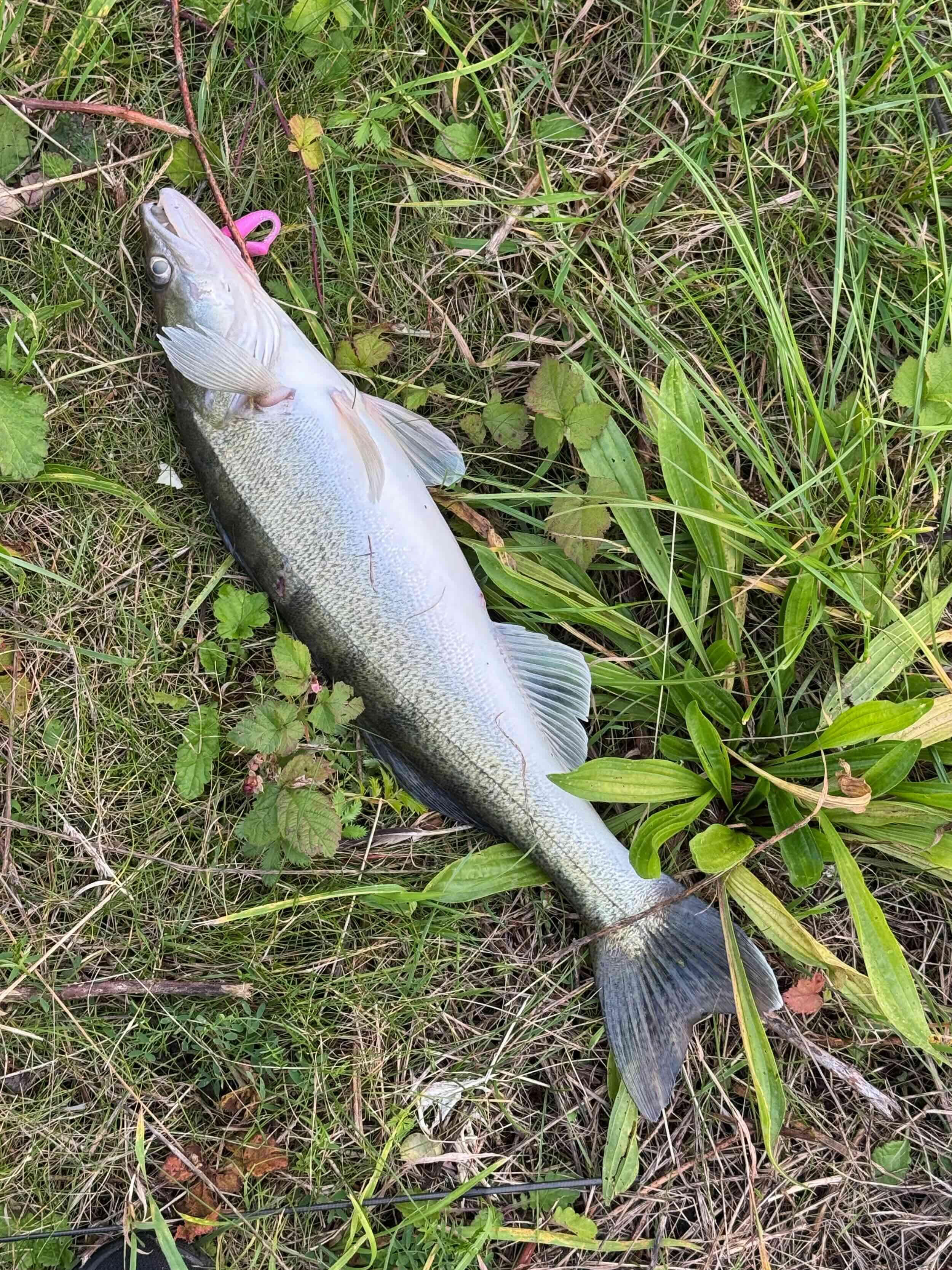 宁波甬新河路亚(宁波最近发生的4个事件)