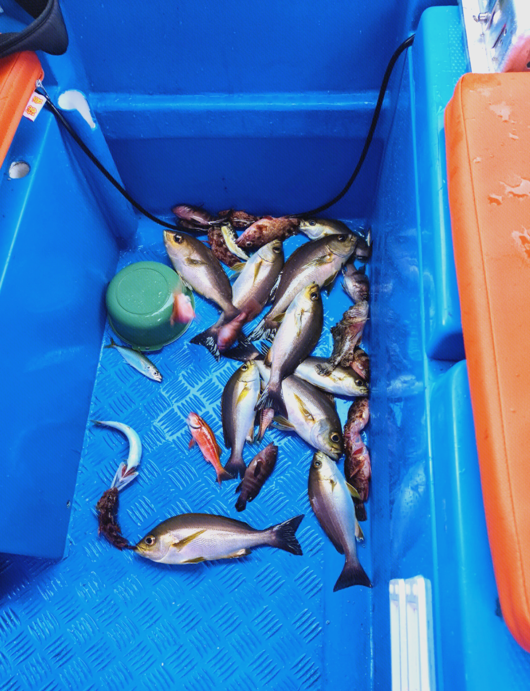 如东能海钓吗(如东海钓具体位置)