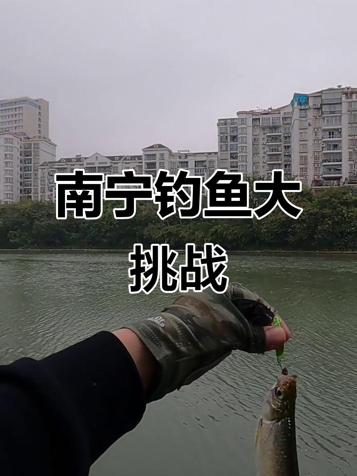 南宁哪里可以路亚(南宁附近哪里能玩路亚)