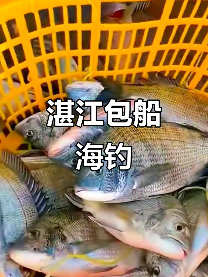 海钓包船(海钓包船收费标准表)