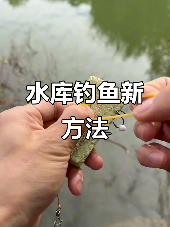 秋季水塘钓鱼技巧(秋天池塘钓鱼钓深水还是浅水)