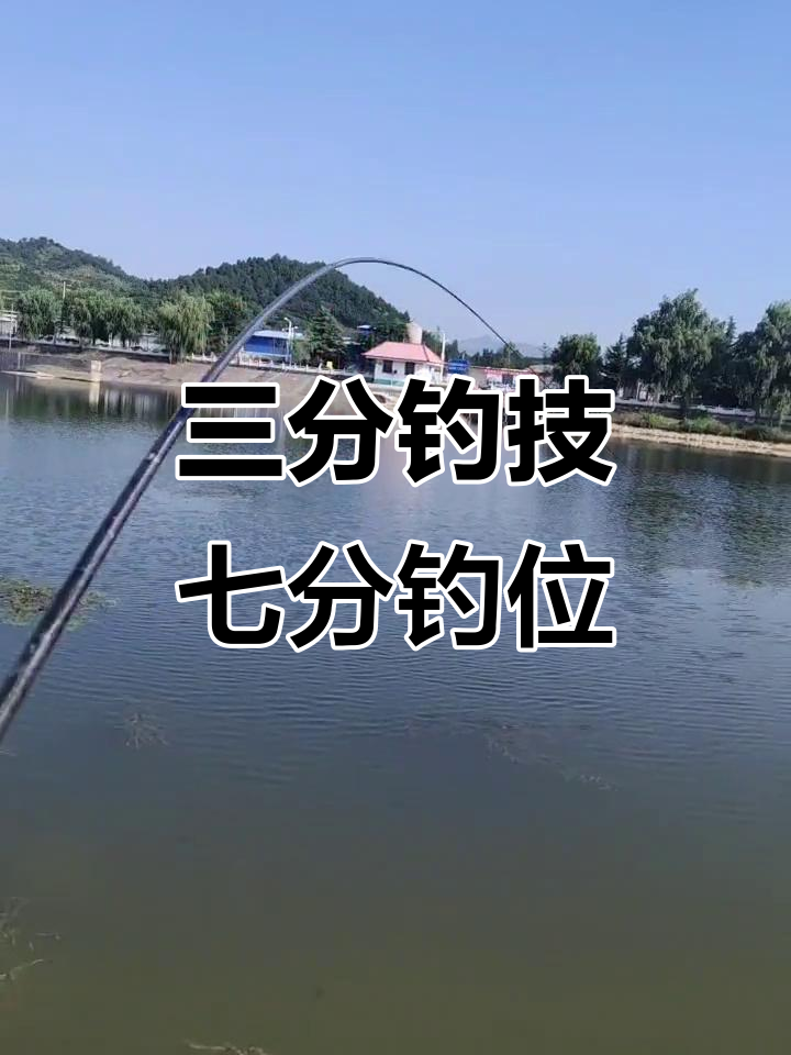 7.2米台钓技巧(台钓7米2杆子配主线多长为好)