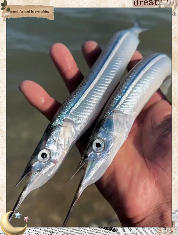 手竿钓针鱼的技巧(手杆钓鱼线的安装方法)