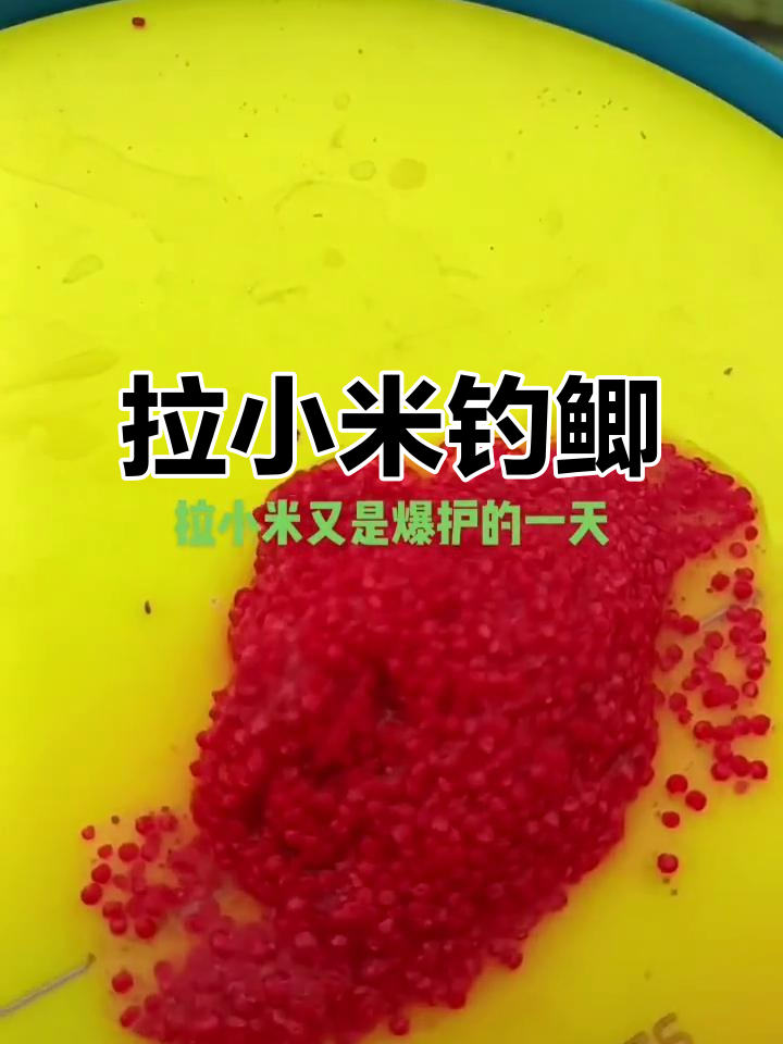 蘸小米钓鲫鱼技巧(自制小米钓鲫鱼窝料)