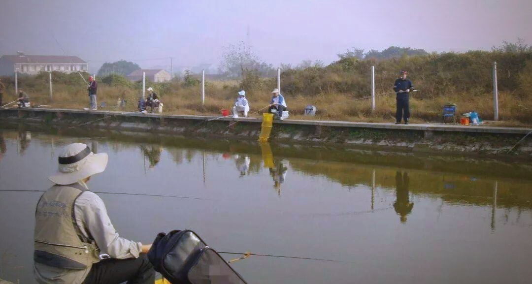 黑坑冬天选位技巧(黑坑冬天用什么饵料)