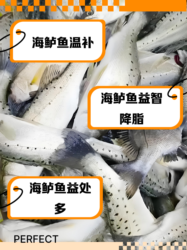 海钓鲈鱼教学(海钓鲈鱼怎样选择钓点) 海钓鲈鱼教学(海钓鲈鱼怎样选择钓点)