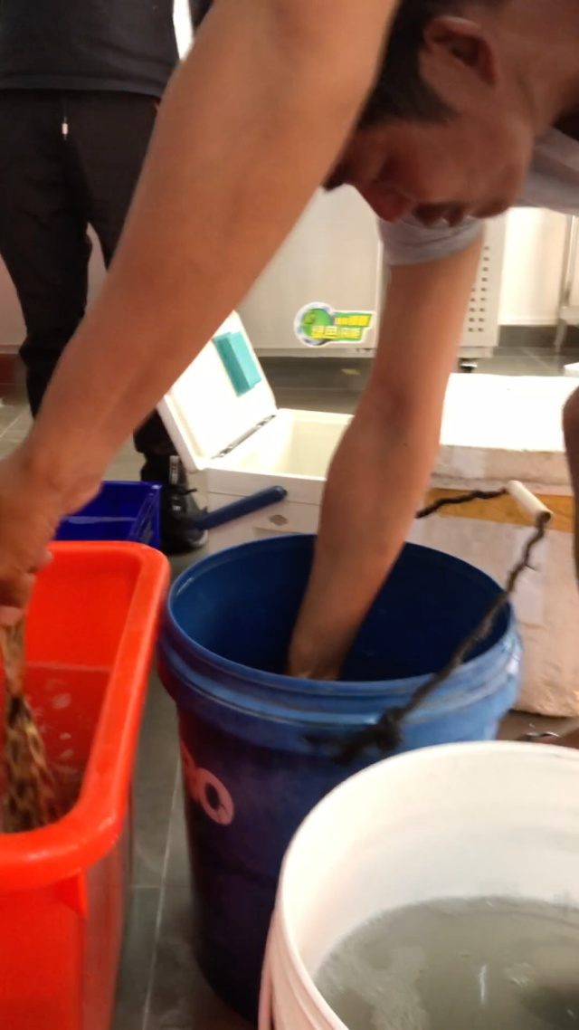 海钓金古鱼技巧(海钓金古鱼技巧图解)