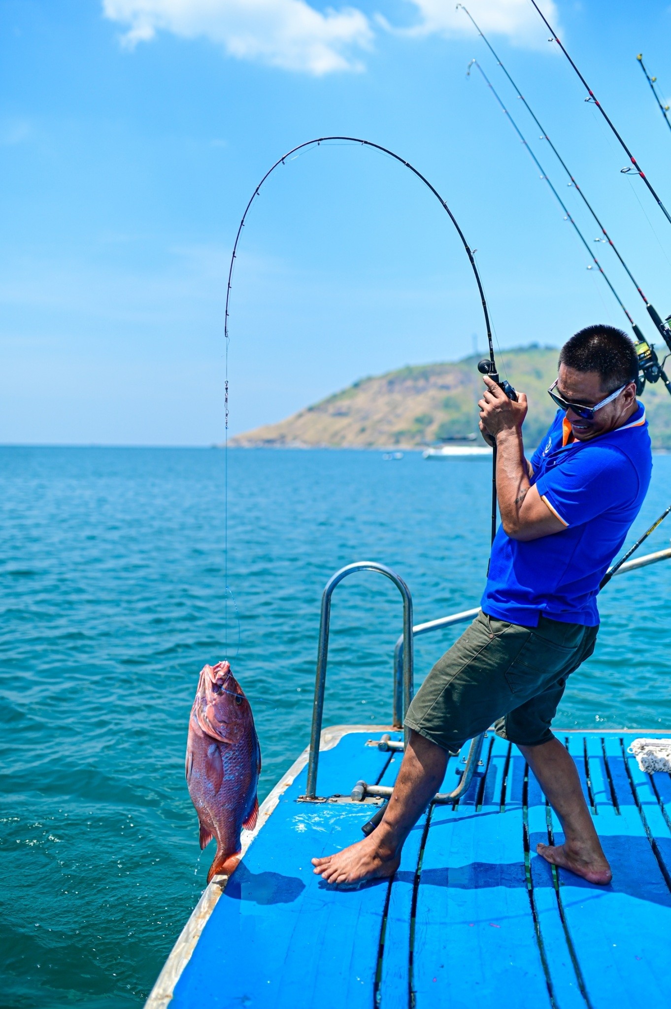 路亚海钓教学视频(路亚海钓视频大全高清)