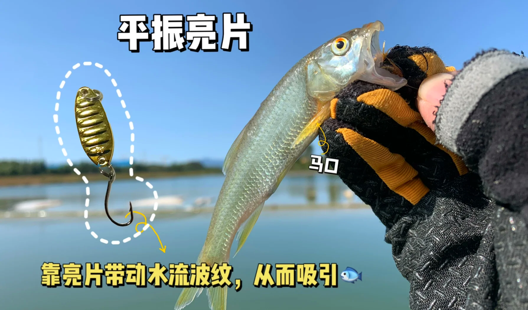 路亚亮片使用视频(路亚亮片操作手法视频教程)