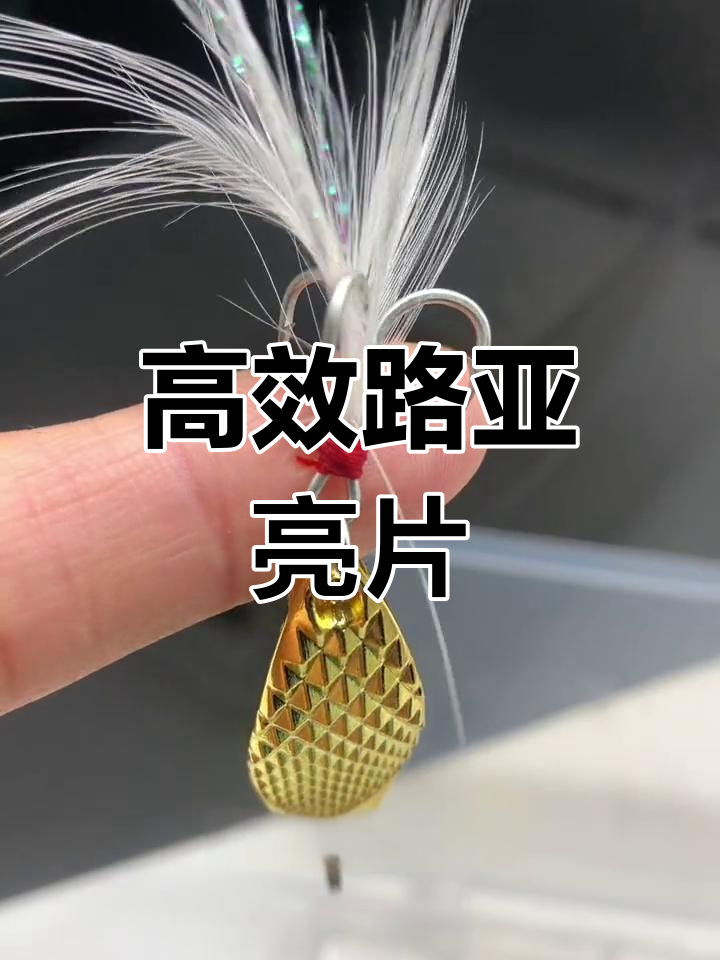 路亚亮片使用视频(路亚亮片操作手法视频教程)