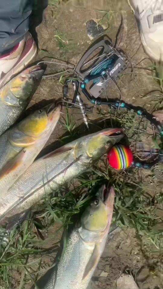 领峰路亚(领峰路亚官方网站) 领峰路亚(领峰路亚官方网站)