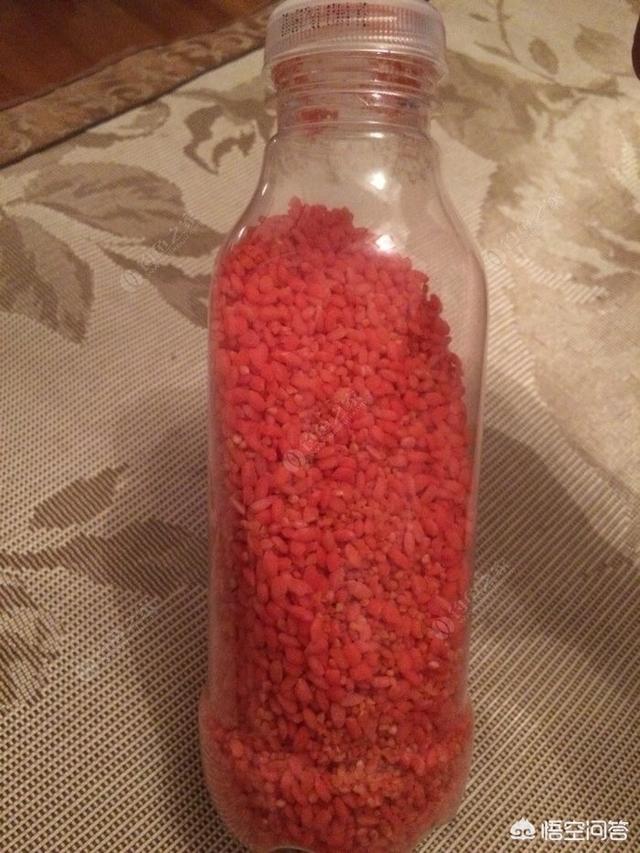 曲酒丁香饵料(丁香酒开饵一次加多)