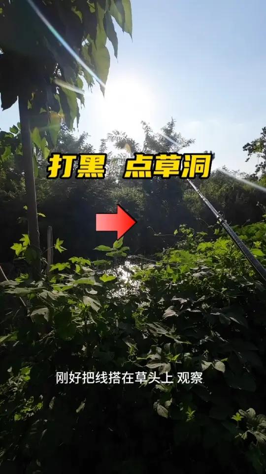 夏季雷强打黑技巧(雷强结打法视频教程) 夏季雷强打黑技巧(雷强结打法视频教程)