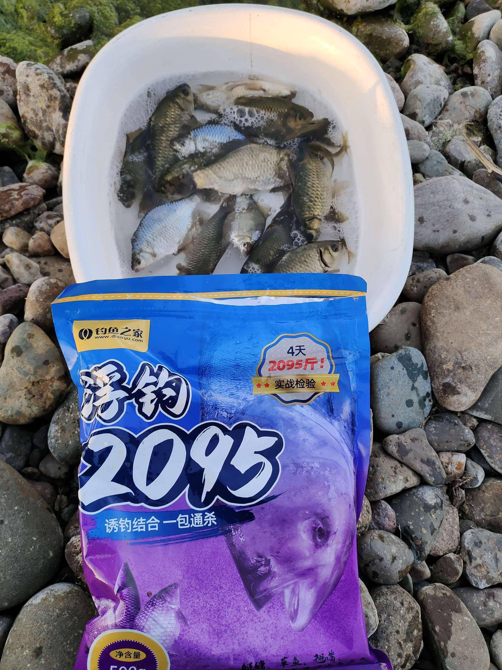 搓饵可以海钓吗(搓饵可以钓小鱼吗)