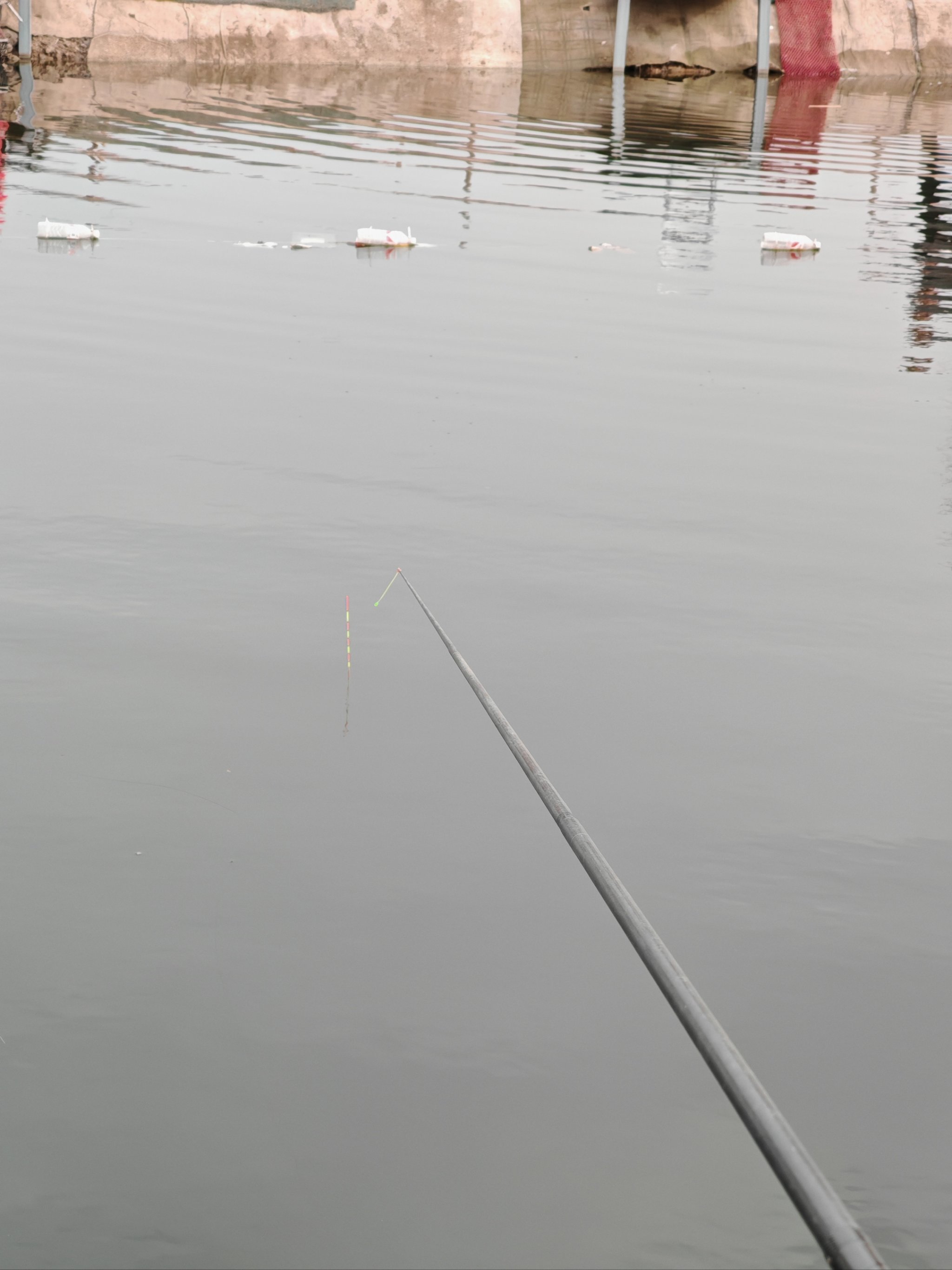 台钓饵料水底状态(饵料在水底什么状态最好)