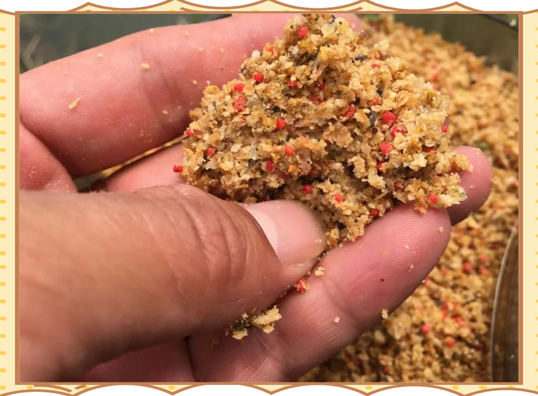 散炮抛竿技巧视频教程(散炮抛竿技巧视频教程下载)