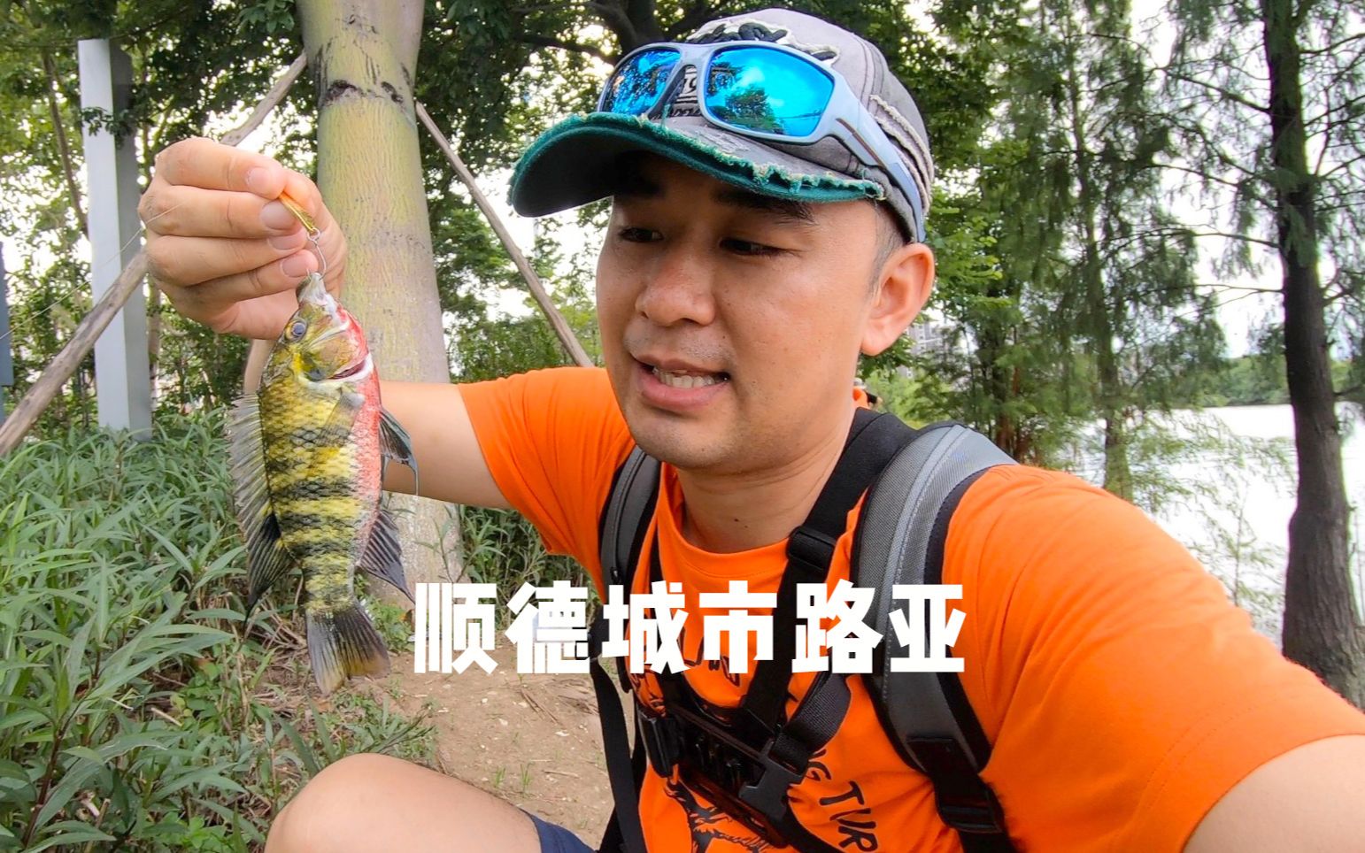 顺德水道路亚(佛山顺德哪里可以路亚)