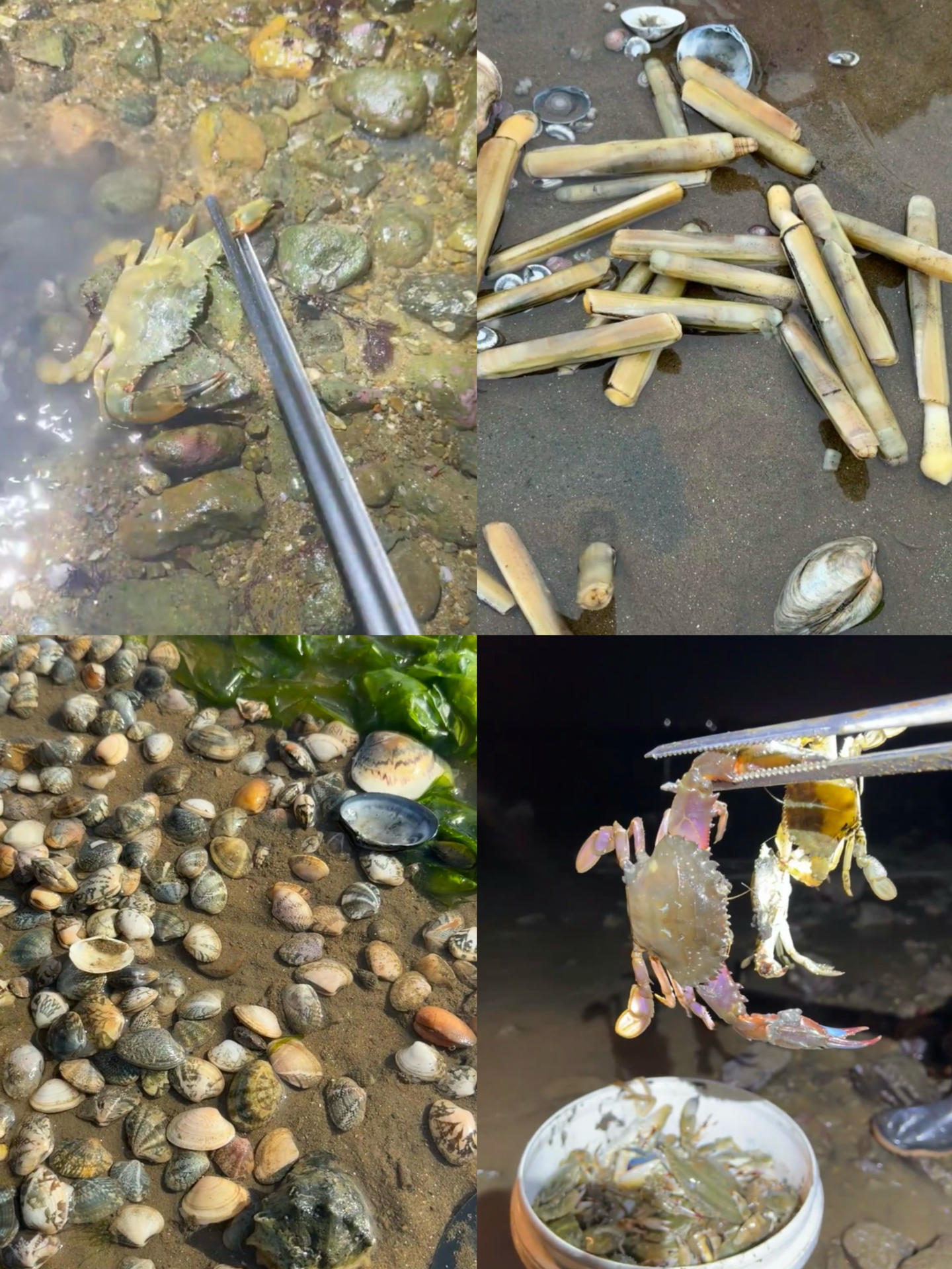 海钓上怎么钩沙虫(海钓上怎么钩沙虫最好)