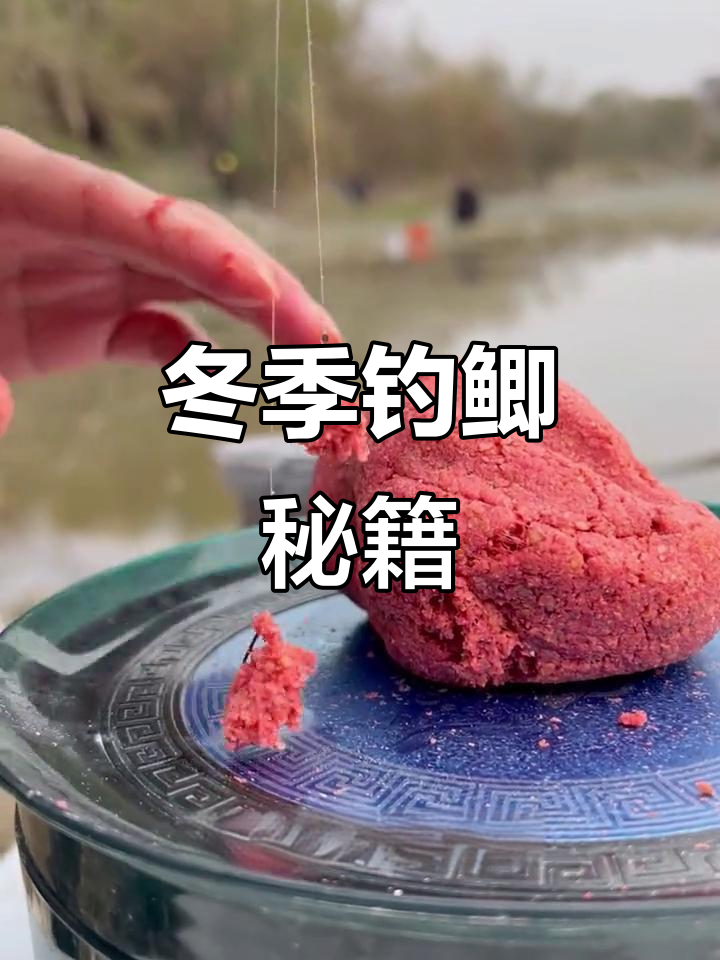 冬调用什么饵料(冬季钓鱼用饵料怎么调漂) 冬调用什么饵料(冬季钓鱼用饵料怎么调漂)
