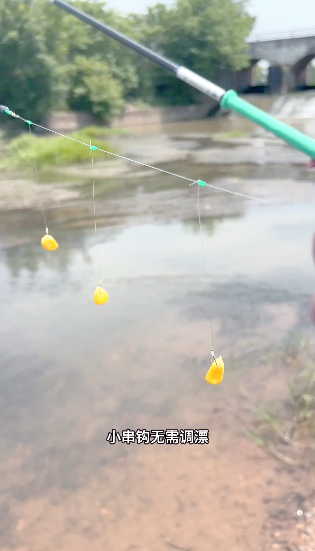 串钩上饵料(串钩饵料笼的正确用法图解)