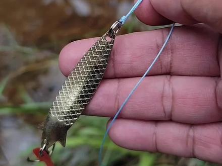 路亚干亮片(路亚亮片的操作手法视频)