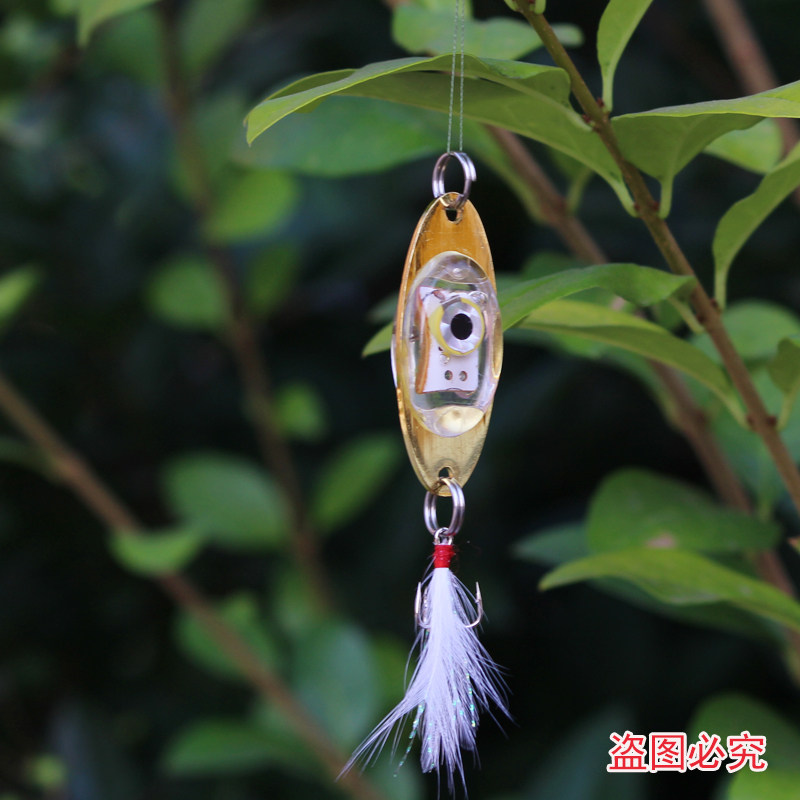 路亚干亮片(路亚亮片的操作手法视频)