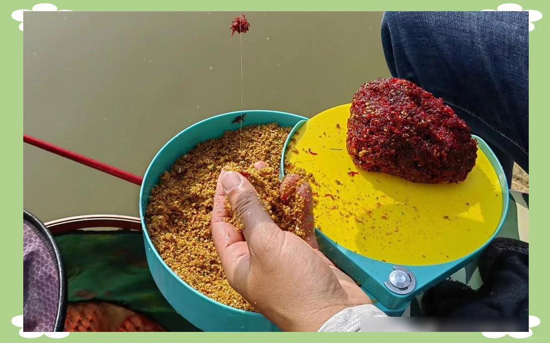 秋季红虫钓鲫鱼技巧(秋季红虫钓鲫鱼技巧视频)