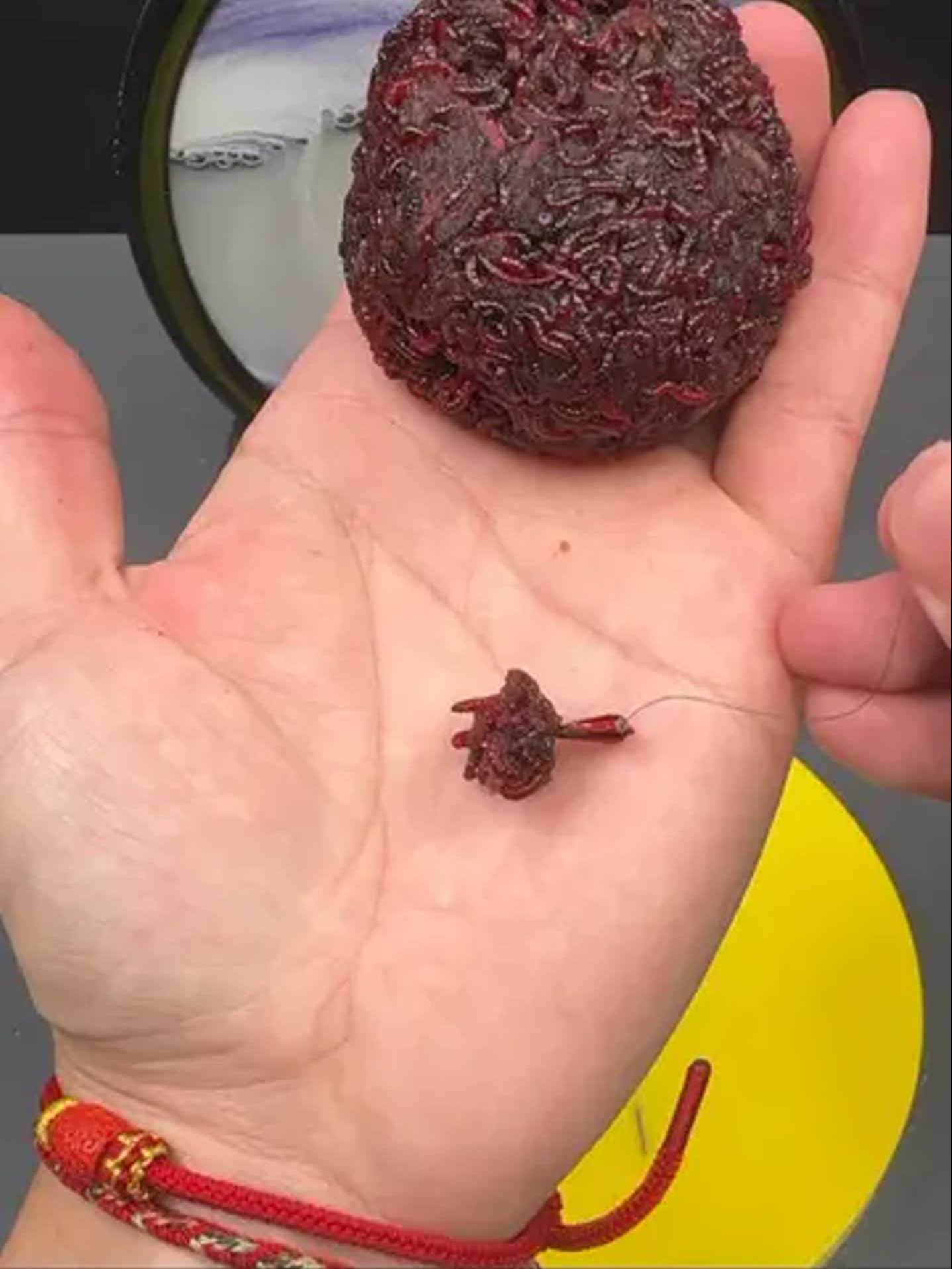 秋季红虫钓鲫鱼技巧(秋季红虫钓鲫鱼技巧视频)