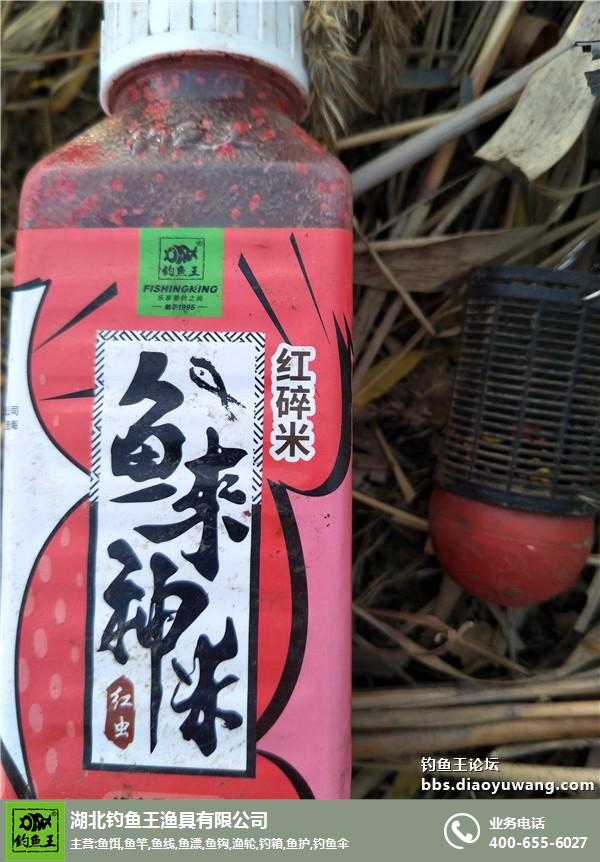 辽宁丹东的渔具店(辽宁丹东的渔具店在哪)