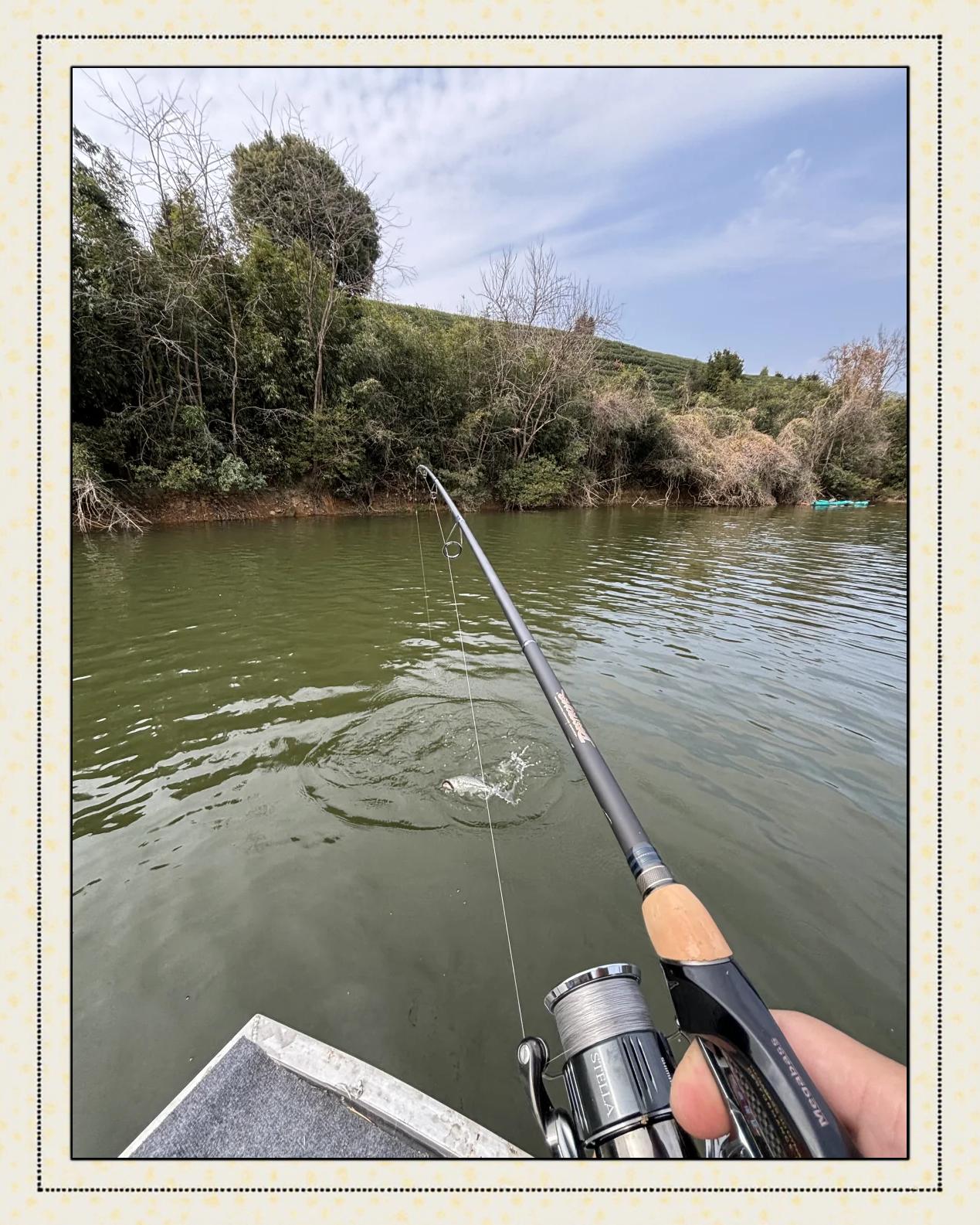 春天如何路亚鲈鱼(春季路亚鲈鱼的窗口期在什么时候)