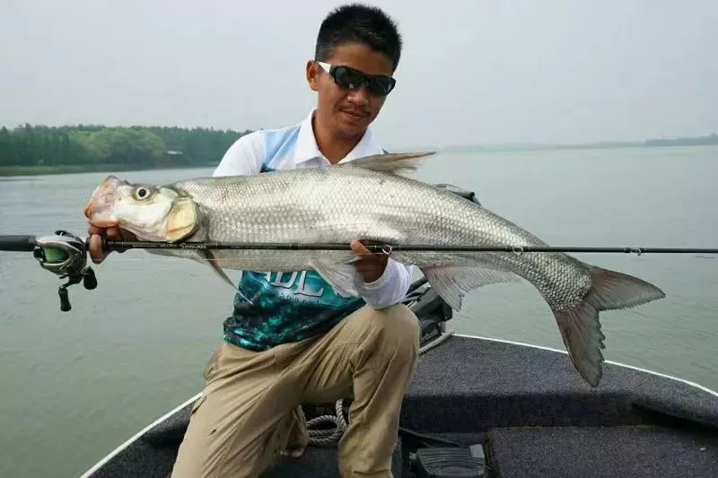 崇明湿地路亚(崇明岛北湖路亚) 崇明湿地路亚(崇明岛北湖路亚)